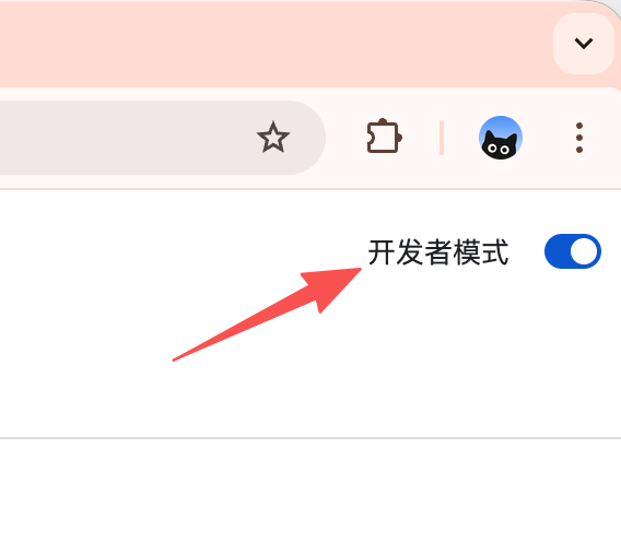 在 Chrome 扩展程序页面开启开发者模式